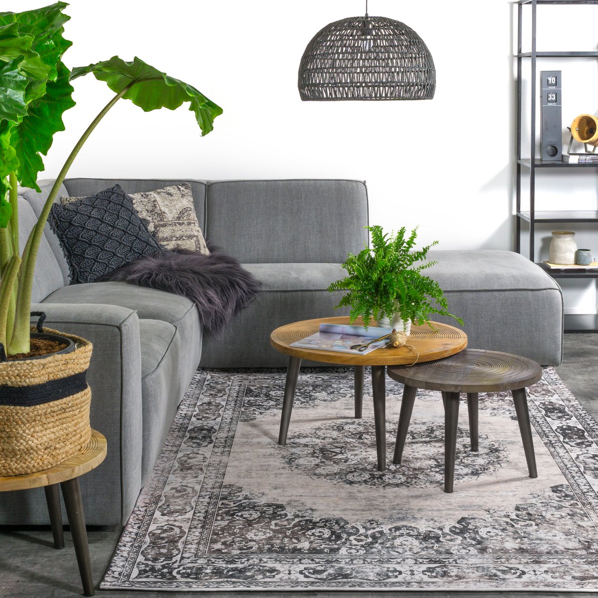 Viola Anthracite rug 160 x 230 cm