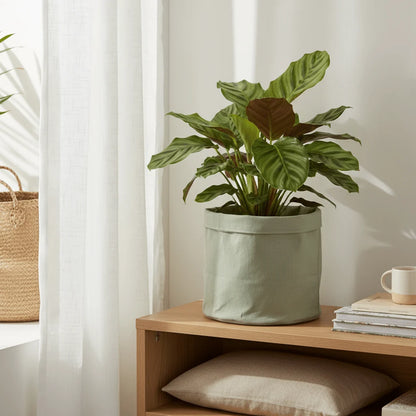 Plantbag Jade - D22